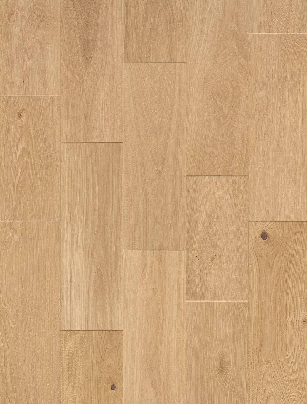 Bauwerk Formpark Mini 380 L, Eiche | Avorio (FSC® Mix 70%) 14