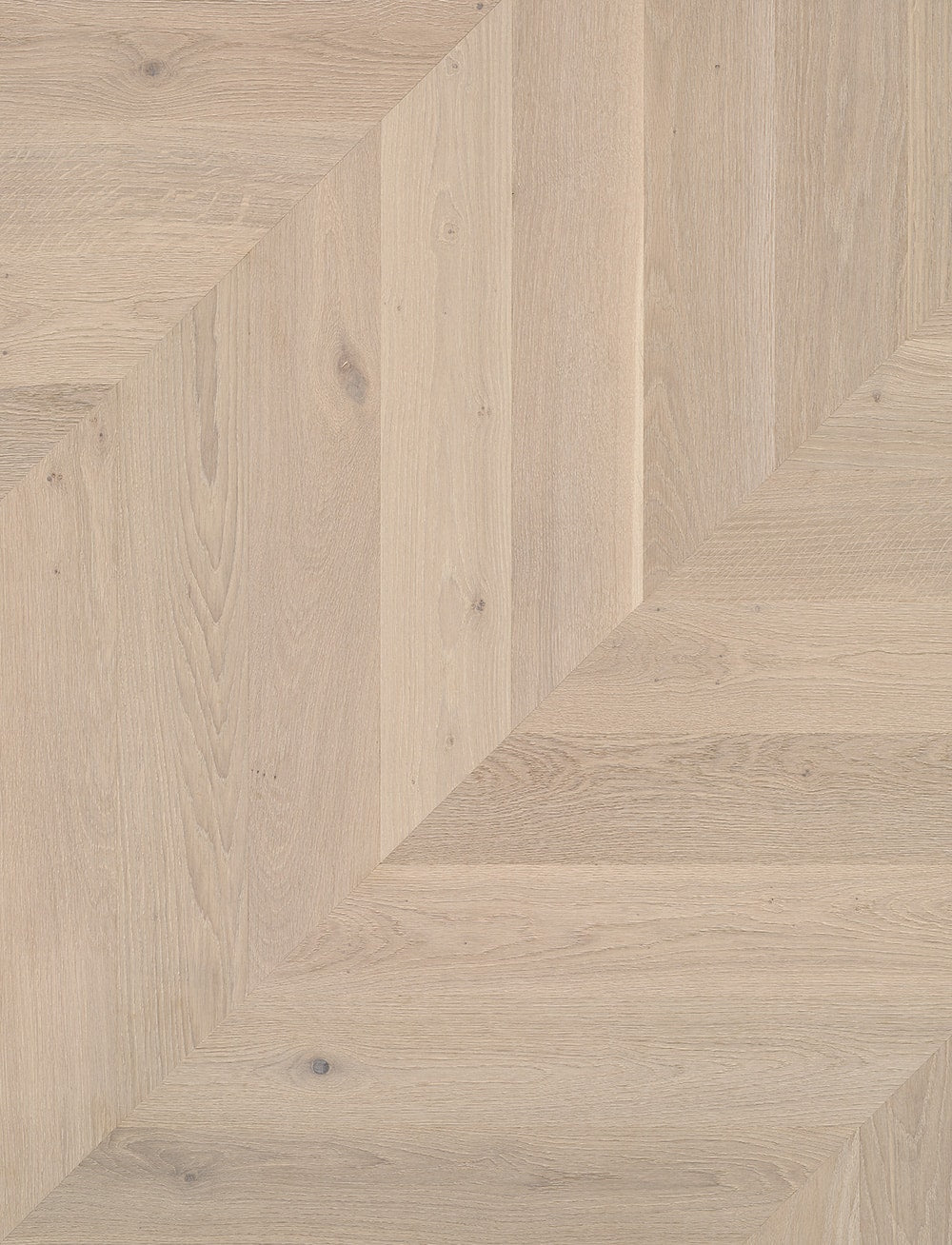 Bauwerk Formpark Rombico, Eiche | Farina 14