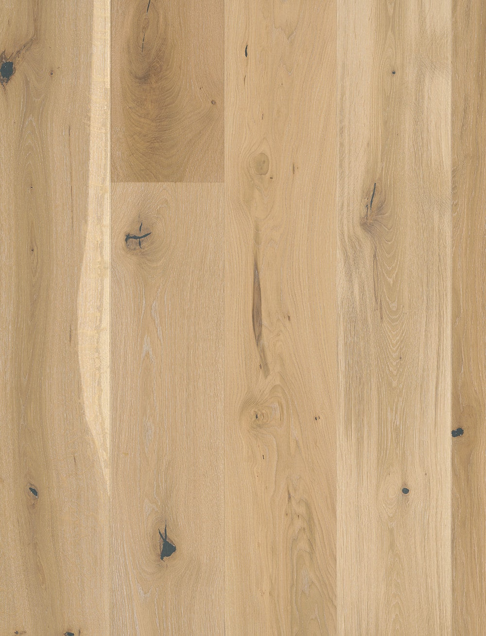 Bauwerk Casapark 209, Landhausdiele, Eiche | Farina 45 gebürstet, naturgeölt