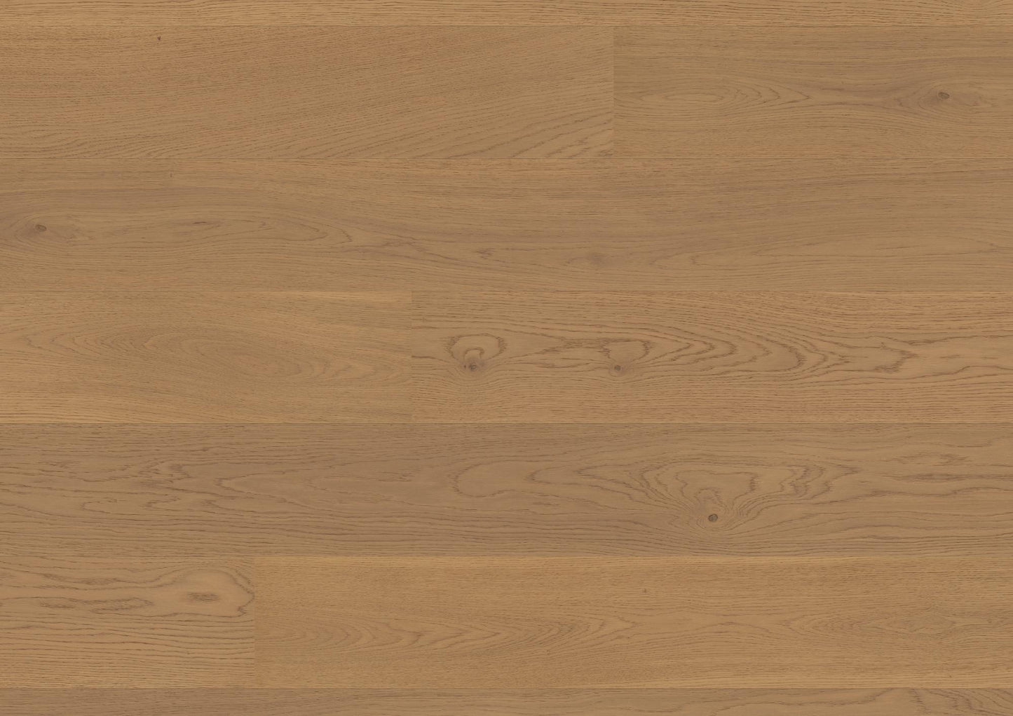Bauwerk Casapark 209 Click, Landhausdiele, Eiche Mandorla 24 gebürstet, B-Protect