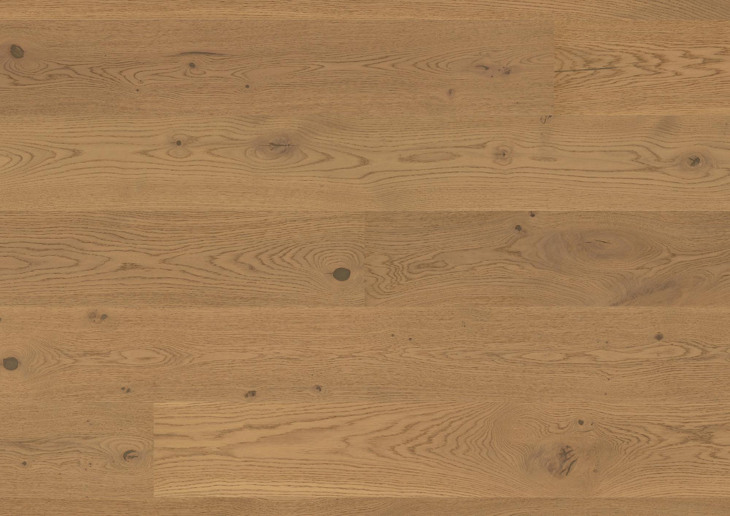 Bauwerk Casapark 209 Click, Landhausdiele, Eiche Mandorla 46 gebürstet, B-Protect