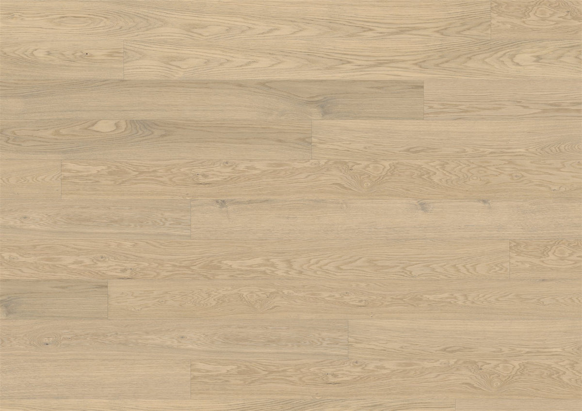 Stöckl B:hard 151 Eiche Colourline | Natura Saphir