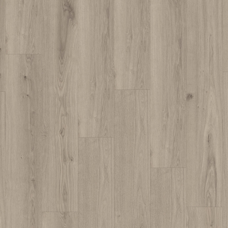 Click Compact Authentic | Delicate Oak Clay 55