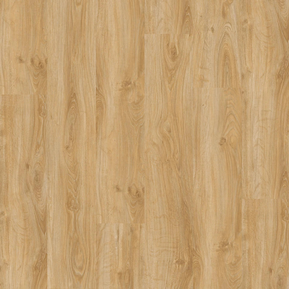 Click Compact Classic | English Oak Classical 55