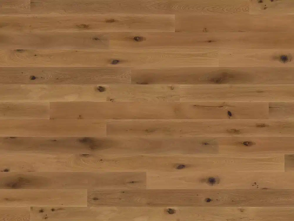 Woodbase Eiche Aarau