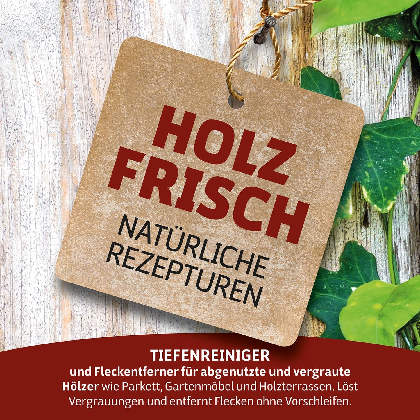 Wenisch Holz Holzfrisch