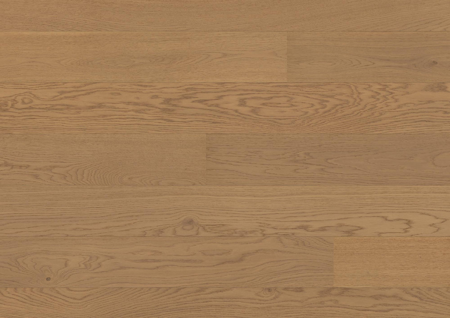 Bauwerk Casapark 181 Click, Landhausdiele, Eiche 24 Mandorla gebürstet, B-Protect