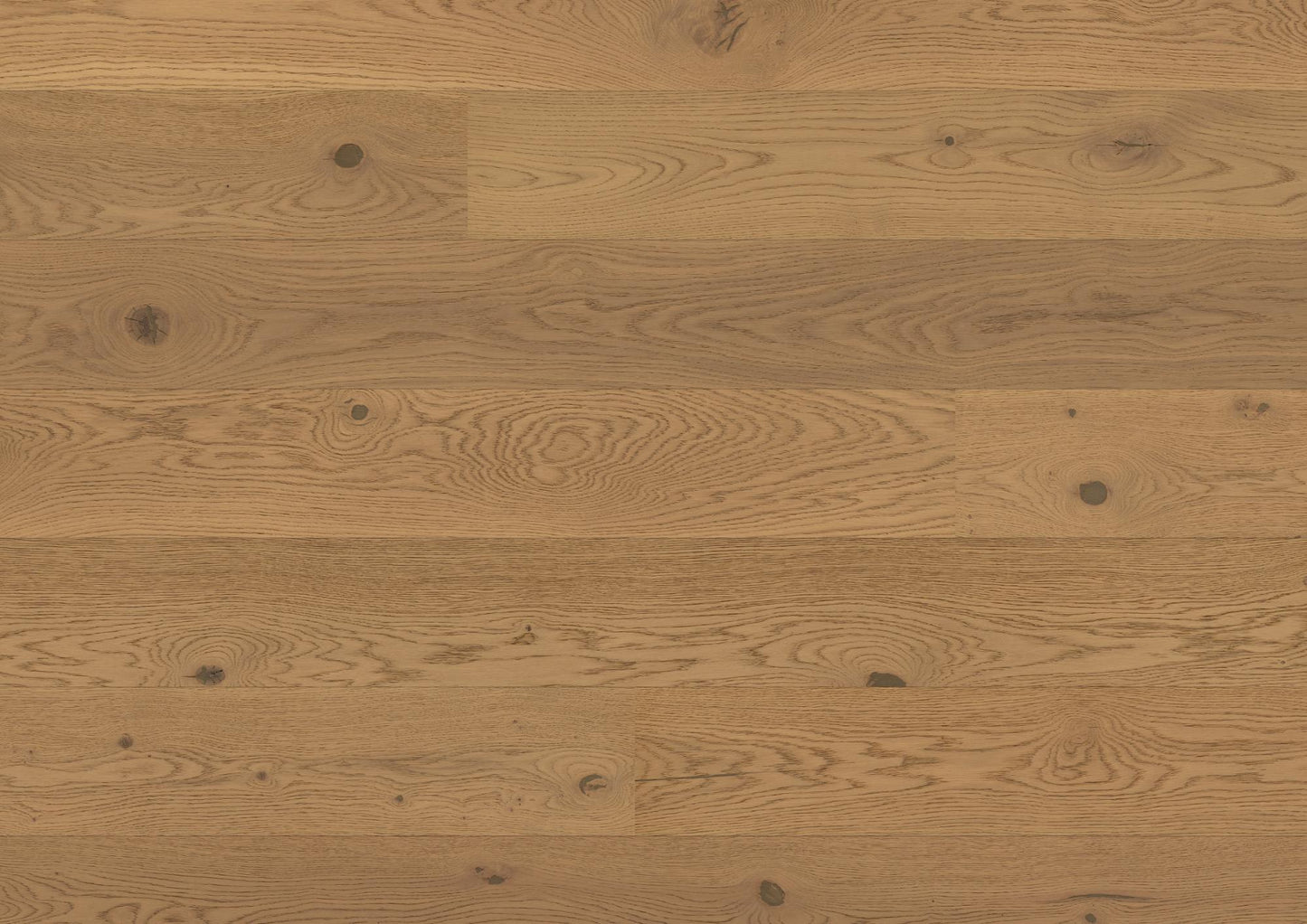 Bauwerk Casapark 181 Click, Landhausdiele, Eiche 46 Mandorla gebürstet, B-Protect