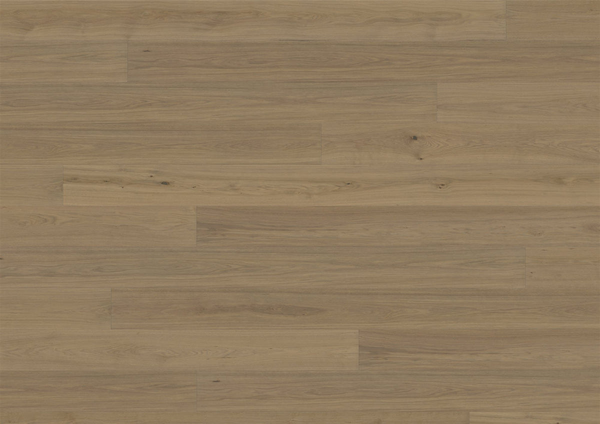 Stöckl B:hard 151 Eiche Colourline | Natura Bernstein