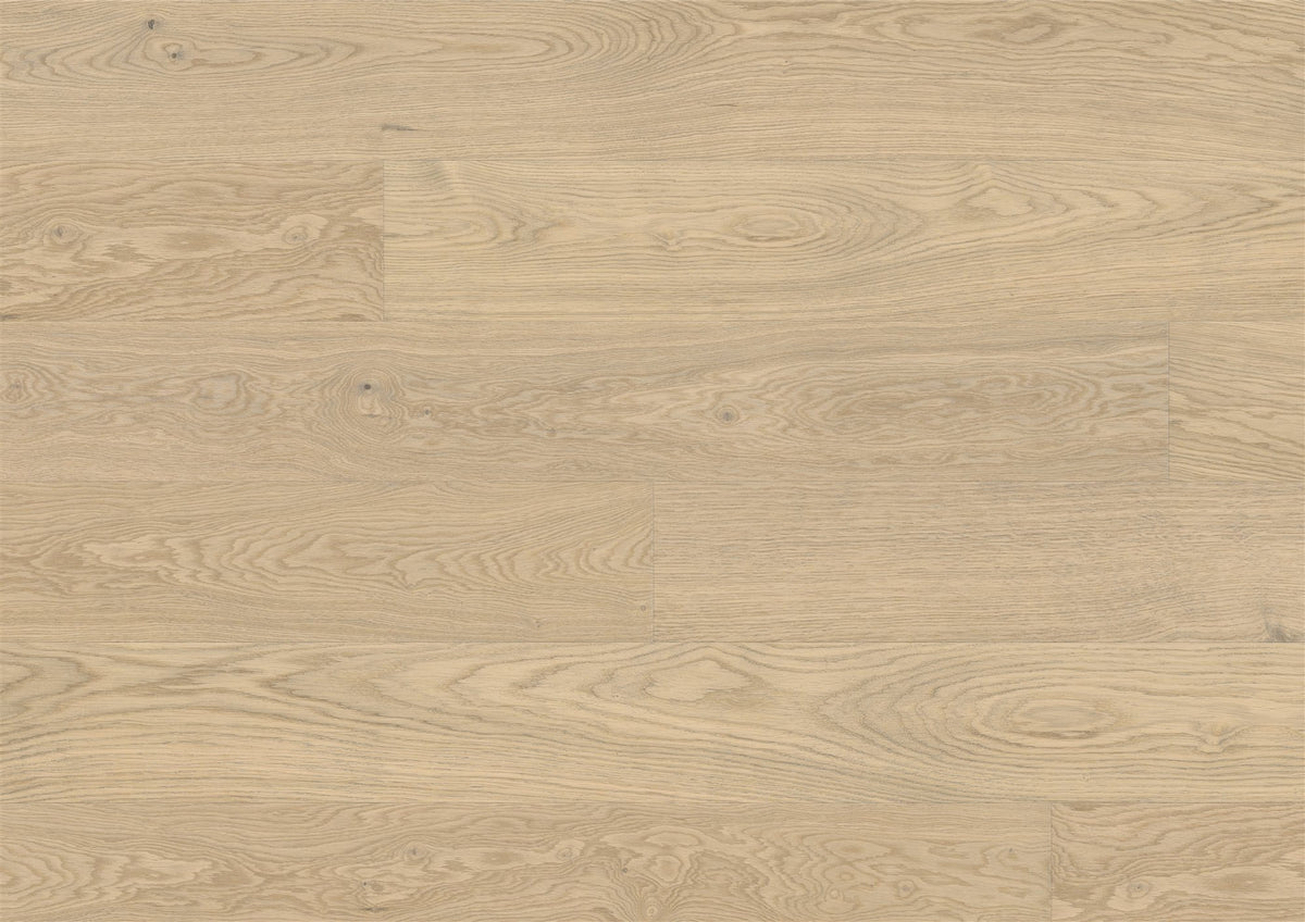 Stöckl B:hard 271 Eiche Colourline | Natura Saphir