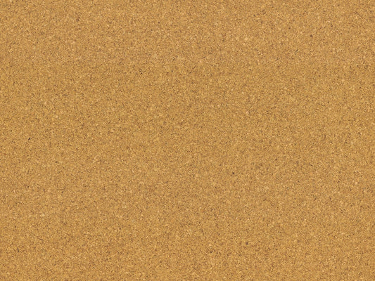 Kork-Fertigparkett WICANDERS cork Go | Moment
