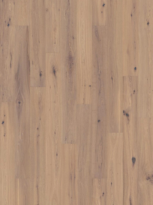 Woodbase Eiche Zürs