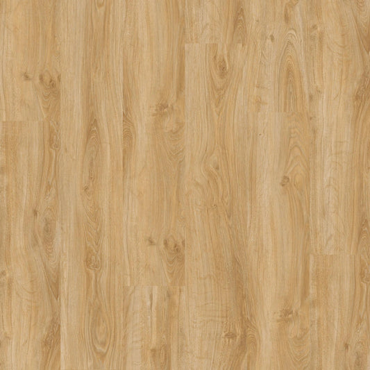Click Compact Classic | English Oak Classical 55