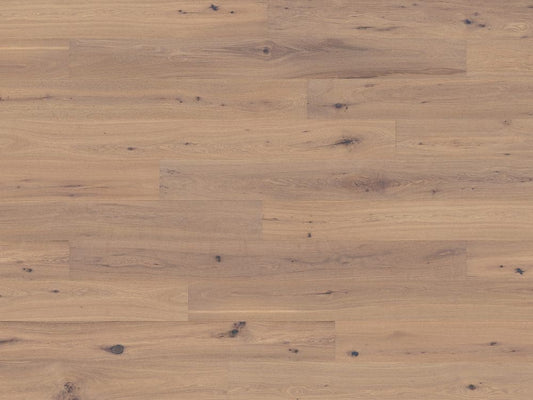 Wenisch Eiche Schnee