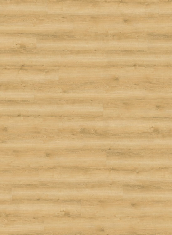 wineo 800 wood, vinyl Landhausdiele | Wheat Golden Oak