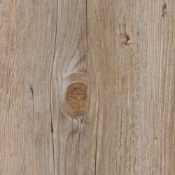 LVT-Fertigparkett Holzoptik WICANDERS wood Go | Alaska Oak